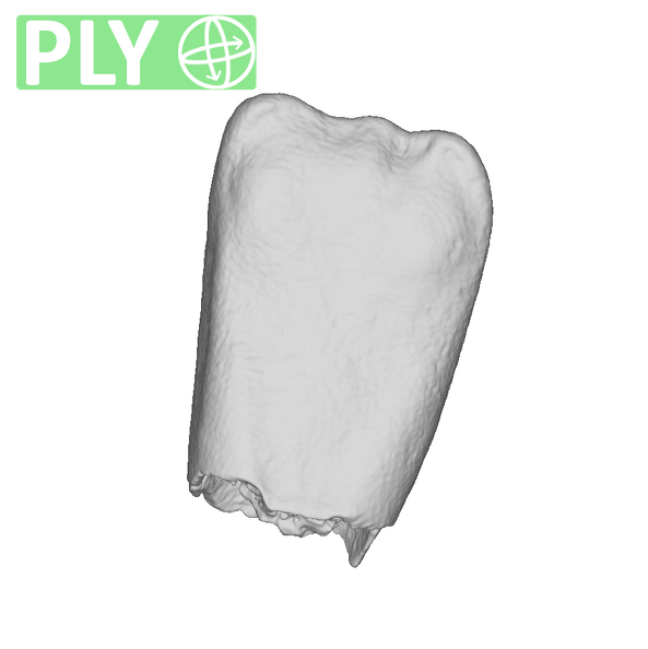 KB5223 Paranthropus robustus LRI1 ply