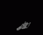 TM1517a Paranthropus robustus left temporal gif
