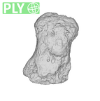 TM1517k Paranthropus robustus distal phalanx ply