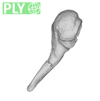 SKW 18 Paranthropus robustus right malleus ply
