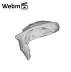 SKW 18 Paranthropus robustus right stapes Part 2 ply movie