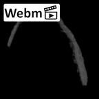 SKW 18 Paranthropus robustus right stapes ct stack movie