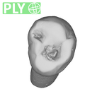 SK 100 Paranthropus robustus LRP3 ply