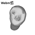 SK 100 Paranthropus robustus LRP3 ply movie