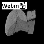 SK 101 Paranthropus robustus ULP3 ct stack movie