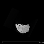 SK 12b Paranthropus robustus mandible internal