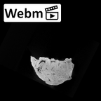 SK 12b Paranthropus robustus mandible ct stack movie