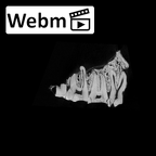 SK 1512.SK 1592 Paranthropus robustus maxilla ct stack movie