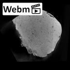 SK 1585 Paranthropus robustus endocast ct stack movie
