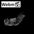 SK 1586 Paranthropus robustus mandible ct stack movie