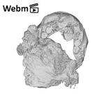 SK 1586 Paranthropus robustus mandible ply movie