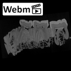 SK 1587a Paranthropus robustus partial mandible ct stack movie