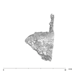 SK 1589 Paranthropus robustus URP4 superior
