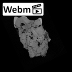 SK 1590a Paranthropus robustus partial right maxilla ct stack movie