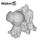 SK 1590d Paranthropus robustus femoral head ply movie