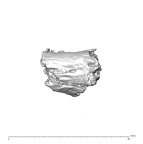 SK 1590e Paranthropus robustus bone fragment 1 1