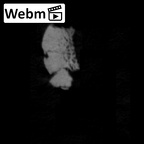 SK 1590e Paranthropus robustus bone fragment 1 ct stack movie