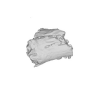 SK 1590e Paranthropus robustus bone fragment 1 ply