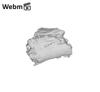 SK 1590e Paranthropus robustus bone fragment 1 ply movie