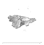 SK 1590e Paranthropus robustus bone fragment 2 1