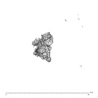 SK 1590e Paranthropus robustus bone fragment 2 2