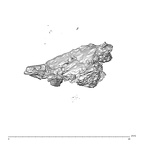SK 1590e Paranthropus robustus bone fragment 2 3