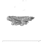 SK 1590e Paranthropus robustus bone fragment 2 5