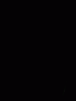 SK 1590e Paranthropus robustus bone fragment 2 ct stack gif