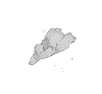 SK 1590e Paranthropus robustus bone fragment 2 ply