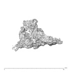 SK 1590e Paranthropus robustus bone fragment 3 1