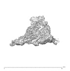 SK 1590e Paranthropus robustus bone fragment 3 3