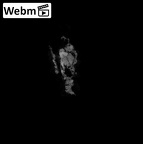 SK 1590e Paranthropus robustus bone fragment 3 ct stack movie