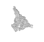 SK 1590e Paranthropus robustus bone fragment 3 ply