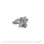 SK 1590e Paranthropus robustus bone fragment 4 5
