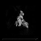 SK 1590e Paranthropus robustus bone fragment 4 internal