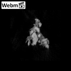 SK 1590e Paranthropus robustus bone fragment 4 ct stack movie
