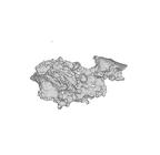 SK 1590e Paranthropus robustus bone fragment 4 ply