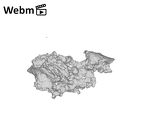 SK 1590e Paranthropus robustus bone fragment 4 ply movie