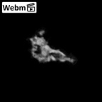 SK 1590e Paranthropus robustus bone fragment 5 ct stack movie