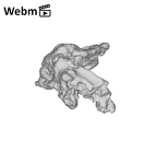 SK 1590e Paranthropus robustus bone fragment 5 ply movie