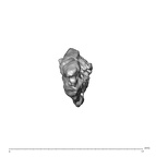 SK 1590e Paranthropus robustus bone fragment 6 2