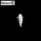 SK 1590e Paranthropus robustus bone fragment 6 ct stack movie