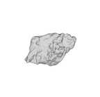 SK 1590e Paranthropus robustus bone fragment 6 ply
