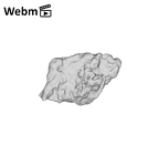 SK 1590e Paranthropus robustus bone fragment 6 ply movie