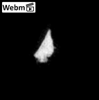 SK 1590e Paranthropus robustus bone fragment 7 ct stack movie