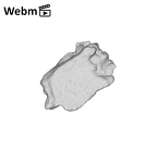 SK 1590e Paranthropus robustus bone fragment 7 ply movie