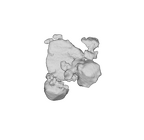 SK 1590e Paranthropus robustus bone fragment 8 ply