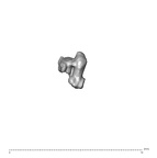 SK 1590e Paranthropus robustus bone fragment 9 2