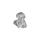 SK 1590e Paranthropus robustus bone fragment 9 ply