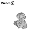 SK 1590e Paranthropus robustus bone fragment 9 ply movie